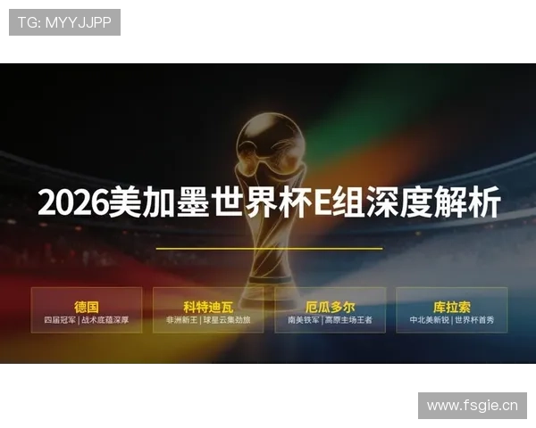 世界杯E组第二名之争解析 世界杯E组第二名之争解析